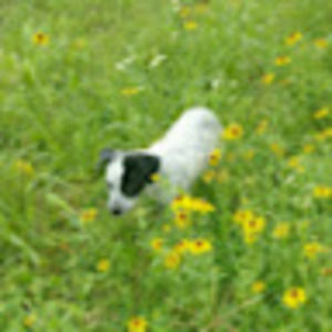 Meet your Posher, Ruth